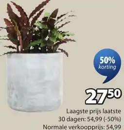 Jysk Fluga bloembak aanbieding