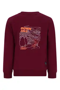 Wehkamp TYGO & vito sweater met backprint donkerrood aanbieding