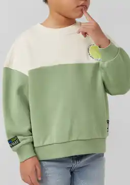 Wehkamp s.Oliver sweater lichtgroen aanbieding