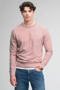 Wehkamp Superdry sweater lichtroze aanbieding