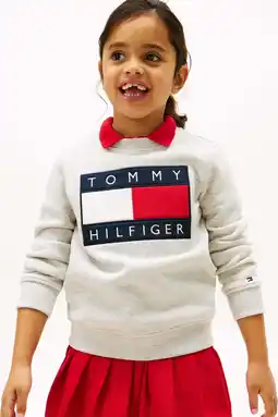 Wehkamp Tommy Hilfiger sweater lichtgrijs aanbieding