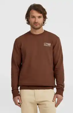 Wehkamp O'Neill sweater bruin aanbieding