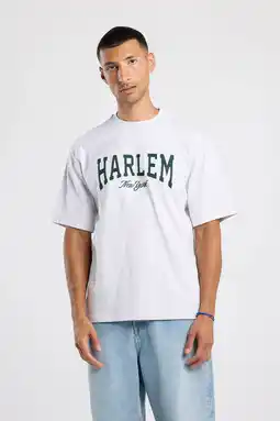 Wehkamp America Today relaxed T-shirt grijs aanbieding