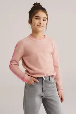 Wehkamp WE Fashion trui roze fijn gebreid aanbieding