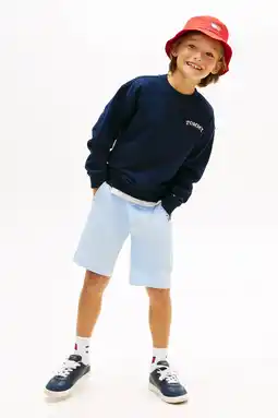 Wehkamp Tommy Hilfiger sweater donkerblauw aanbieding