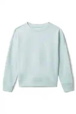 Wehkamp Calvin Klein sweater lichtblauw aanbieding