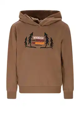 Wehkamp TYGO & vito hoodie bruin aanbieding