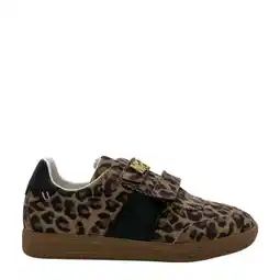 Wehkamp Steve Madden Jeileen sneakers met panterprint beige/zwart aanbieding