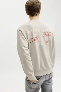 Wehkamp JJ REBEL sweater met backprint beige aanbieding