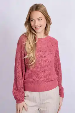 Wehkamp CS the Label trui roze aanbieding