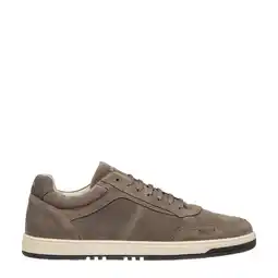 Wehkamp Van Lier Miami suède sneakers taupe aanbieding