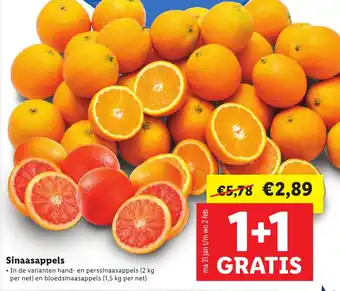 Lidl Sinaasappels aanbieding