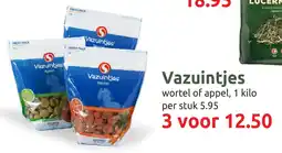 Deka Tuin Vazuintjes aanbieding