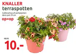Deka Tuin Terraspotten aanbieding