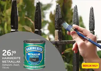 Praxis Hammerite Metaallak aanbieding