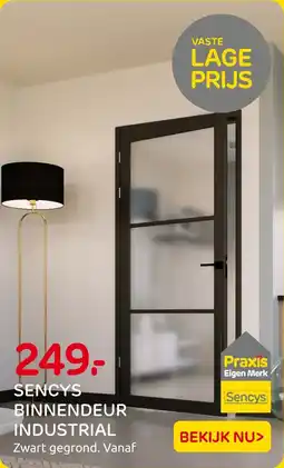 Praxis Sencys Binnendeur Industrial aanbieding