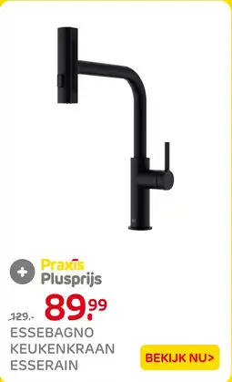 Praxis Essebagno Keukenkraan Esserain aanbieding