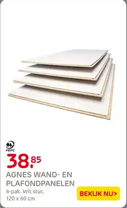 Praxis Agnes Wand en Plafondpanelen aanbieding