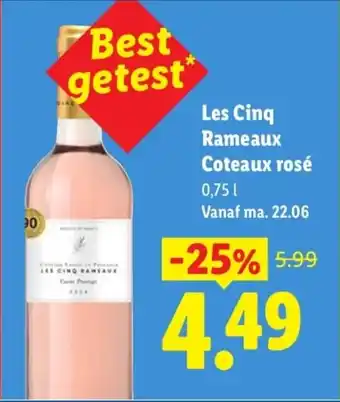 Les Cinq Rameaux Coteaux rosé