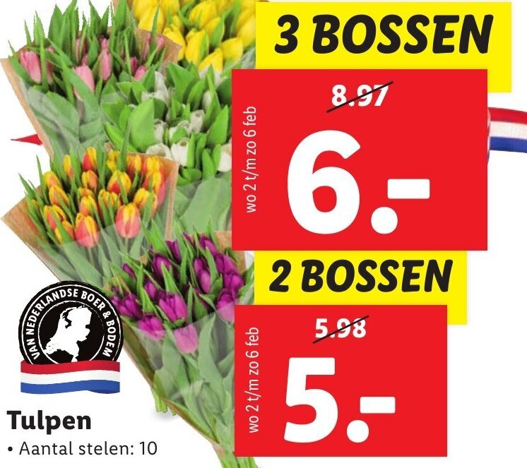 Tulpen 3 bossen aanbieding bij Lidl