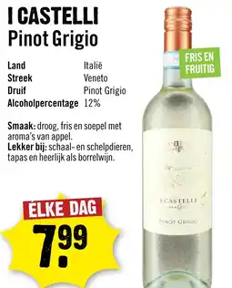 Dirck 3 I Castelli Pinot Grigio aanbieding