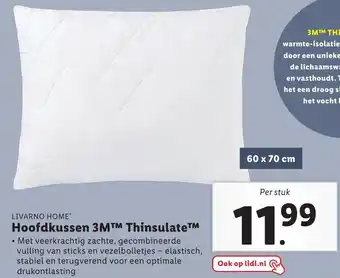 Lidl Hoofdkussen 3M Thinsulate 60x70cm aanbieding