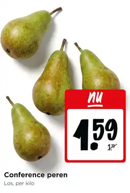 Jumbo Conference peren aanbieding