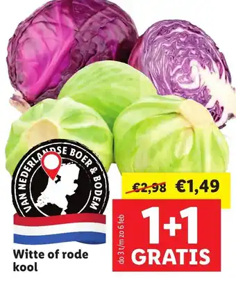 Lidl Witte of rode kool aanbieding