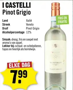 Dirck 3 I Castelli Romeo E Giulietta Pinot Grigio 75 cl aanbieding