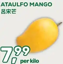 Amazing Oriëntal ATAULFO MANGO aanbieding