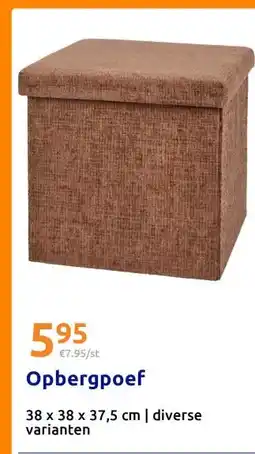 Action Opbergpoef aanbieding