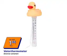 Action Waterthermometer aanbieding