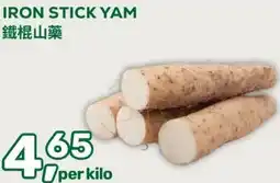 Amazing Oriëntal IRON STICK YAM aanbieding