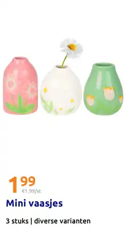 Action Mini vaasjes aanbieding