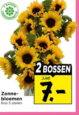 Vomar Voordeelmarkt Zonne- bloemen aanbieding