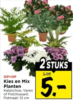Vomar Voordeelmarkt Kies en Mix Planten aanbieding