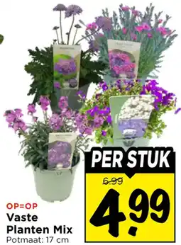 Vomar Voordeelmarkt Vaste Planten Mix aanbieding