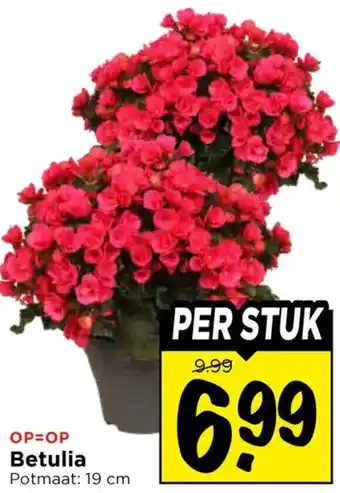 Vomar Voordeelmarkt Betulia aanbieding