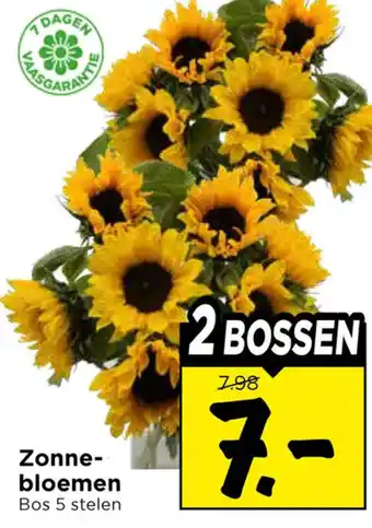 Vomar Voordeelmarkt Zonnebloemen aanbieding