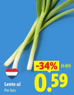 Lidl Lente ui aanbieding
