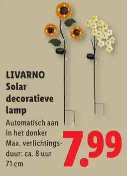 Lidl Livarno solar decoratieve lamp aanbieding
