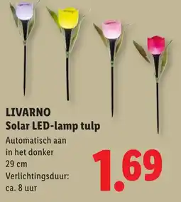 Lidl Livarno solar led lamp tulp aanbieding