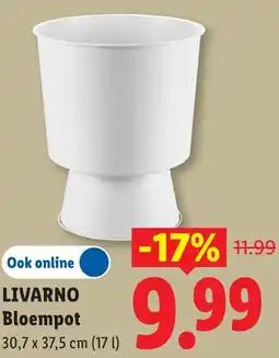 Lidl Livarno bloempot aanbieding