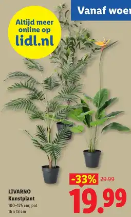 Lidl Livarno kunstplant aanbieding