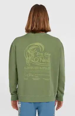 Wehkamp O'Neill sweater aanbieding