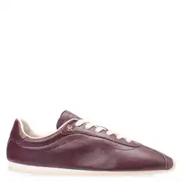 Wehkamp Tommy Hilfiger leren sneakers bordeaux aanbieding