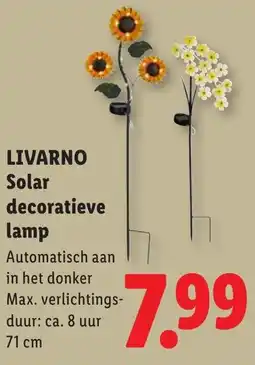 Lidl Livarno solar decoratieve lamp aanbieding