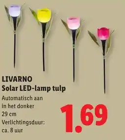 Lidl Livarno Solar LED-lamp tulp aanbieding
