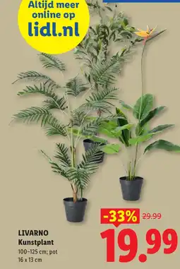 Lidl Livarno kunstplant aanbieding