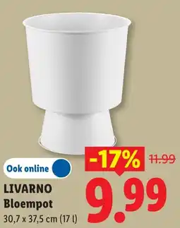 Lidl Livarno bloempot aanbieding
